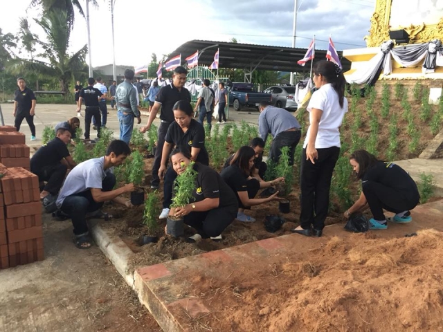 กิจกรรมร่วมกันปลูกดาวเรืองเพื่อเทิดพระเกียรติพระบาทสมเด็จพรปรมินทร มหาภูมิพลอดุลยเดช